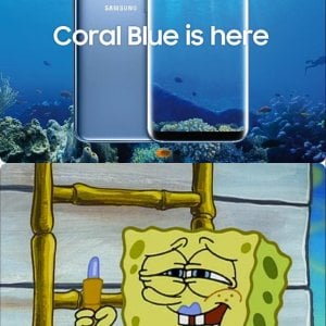 Coral Blue is here