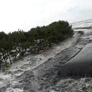 Japan Tsunami 2011 - One Brave Soul