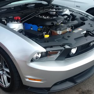 Mustang engine