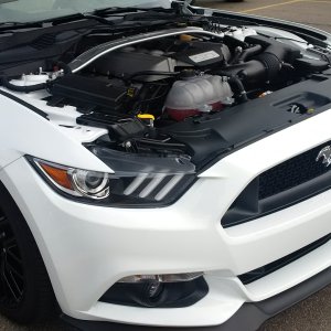 Mustang engine