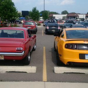 Mustangs