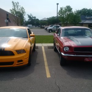 Mustangs