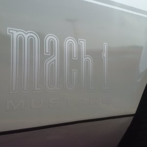 Mustang Mach 1
