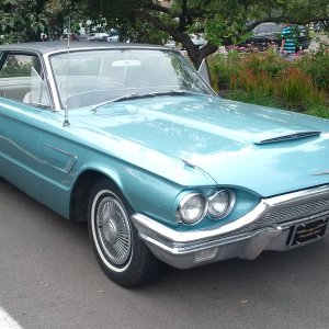 Thunderbird