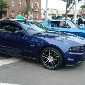 Mustangs