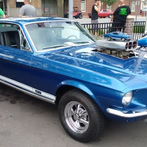 Mustang