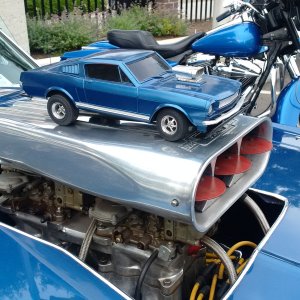 Mini Mustang
