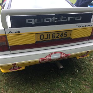 Audi Quattro S1 Gr.B Rear