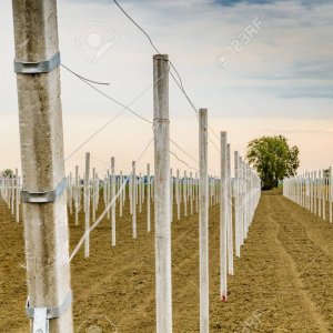 Pole Farming