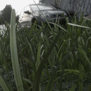 DRIVECLUB™_20181201221329
