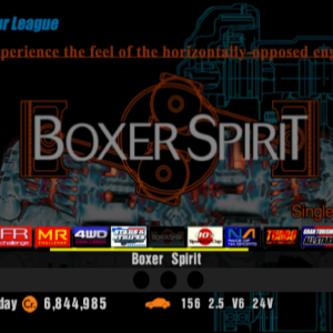 Boxer Spirit