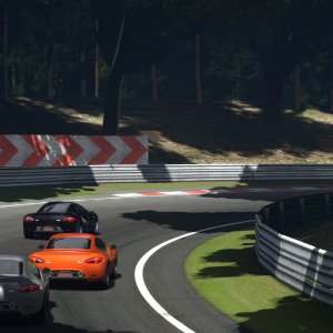 Deep Forest Raceway_44