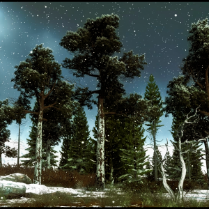 DRIVECLUB™ Trees Colour
