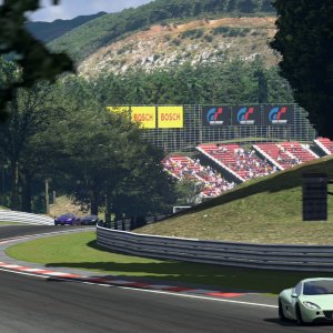 Deep Forest Raceway_72