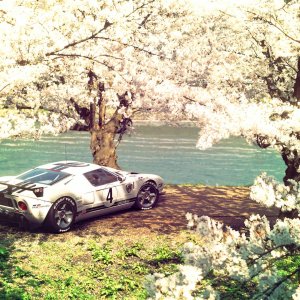 Ford GT Under Blossom