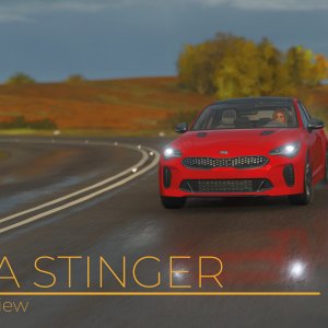 Stinger cover