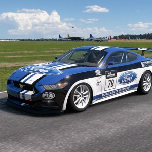 Gr. 4 Mustang Factory Alt. 3