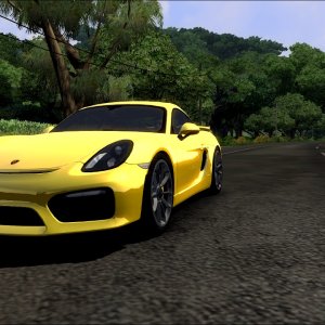 There's more Porsches here than any other game.. (sans Porsche Unleashed), I mean, there's a GT1, 2 GT2s, more GT3s, and a GT4