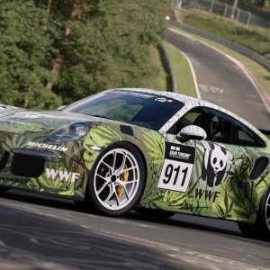 WWF-GT3RS