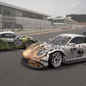 WWF-2Porsches