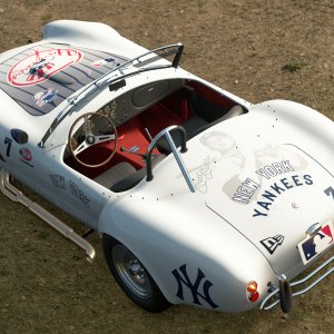 New York Yankees Rear