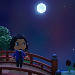 Sonny Meng Xian Zhen, as seen in Animal Crossing New Horizons