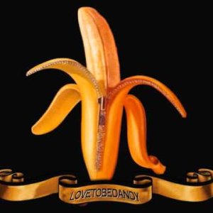 The Dandy Warhols -   The Dandy Warhols' T.V. Theme Song