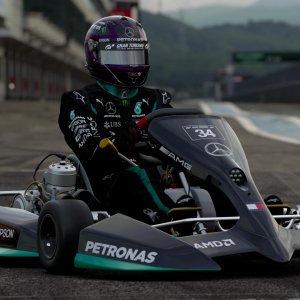 Hamilton Kart