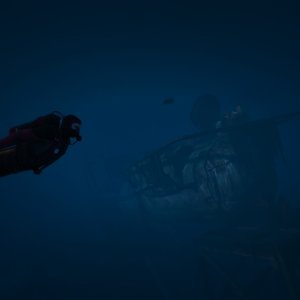 Diver down 2
