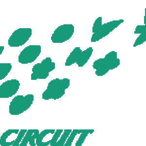 Suzuka_Circuit_logo