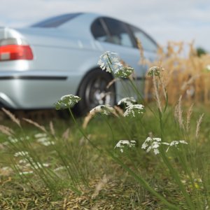 Forza Horizon 4 2020-08-01 16-17-21