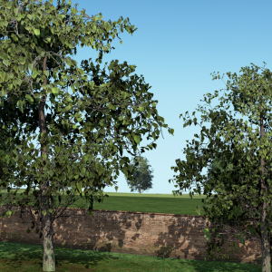Project CARS 2™ 26.08.2020 22_16_51