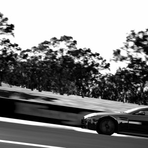 Mount Panorama Motor Racing Circuit_59