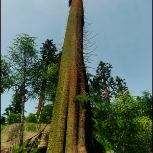 DRIVECLUB™ Tree