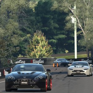 Mount Panorama Motor Racing Circuit_14