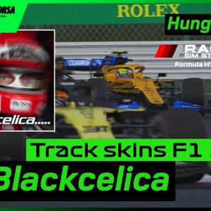 ASSETTO CORSA / F1 2020 Track Skins by Blackcelica - Hungaroring - YouTube