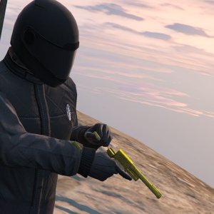 Having a quick look at the new Cayo Perico Heist weaponry, featuring the tamed racing animal 17