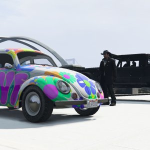 The love bug 2