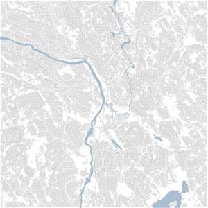 Forest 10