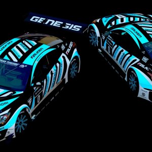 GENESIS Racing Livery