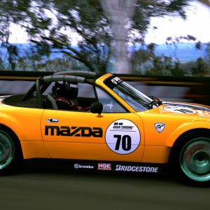 Mount Panorama Motor Racing Circuit_1.jpg
