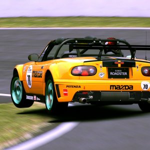 Mount Panorama Motor Racing Circuit_8.jpg