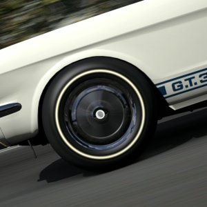 Deep Forest Raceway_13.jpg