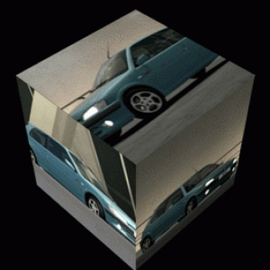 imageedit_13_2515298940.gif