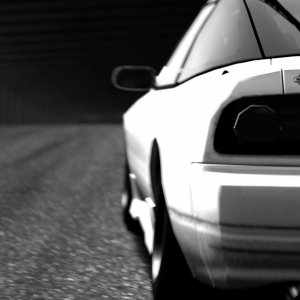 Deep Forest Raceway_3.jpg