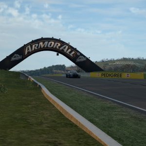 tmp_GTR 15A Mount Panorama Motor Racing Circuit_13-489327136.jpg