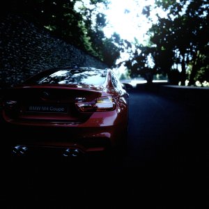Goodwood Hillclimb_1edit - copia.jpg