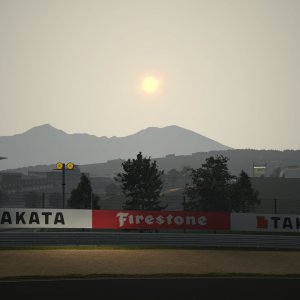 Apricot Hill scenery 5.jpg