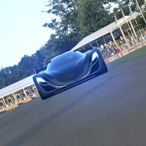 Goodwood Hillclimb 2014_2.jpg