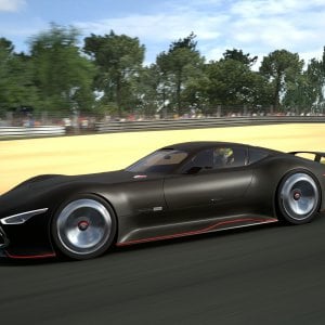 Circuit de la Sarthe 2009 (No Chicanes) _22.jpg